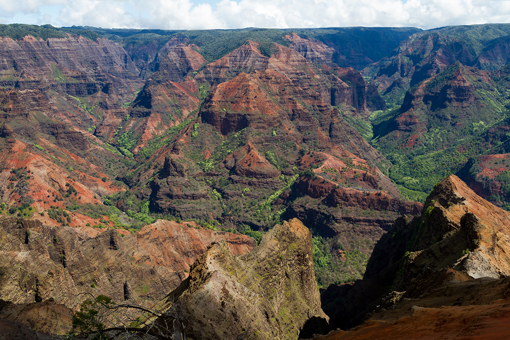 Kauai - 025.jpg